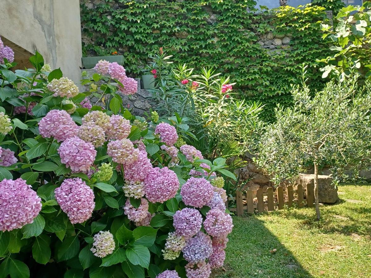 Bed and Breakfast Les Glycines Le Vigan  Exterior foto